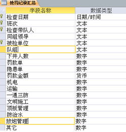 报表总计命令,实现报表的总计,其操作区域在哪里