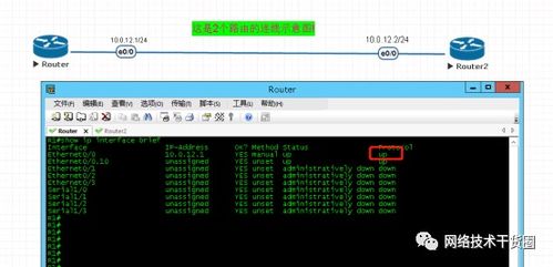 cisco命令终止,思科终止命令