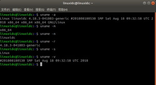 uname-r命令,uname命令怎么用