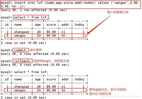 用户视图命令,用户视图名词解释