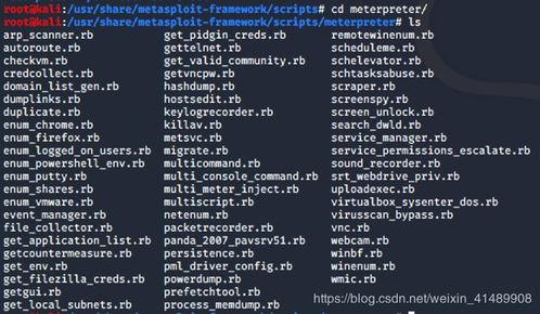 metaspolit命令,metasploit 命令