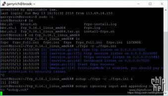 frps运行命令,frp配置教程