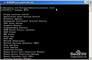 系统服务dos命令,dos启动服务