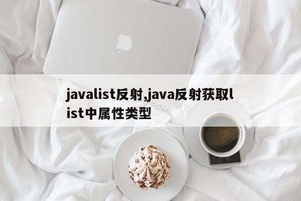 javalist反射,java反射获取list中属性类型