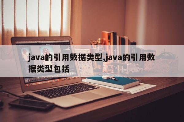 java的引用数据类型,java的引用数据类型包括