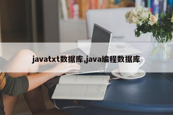 javatxt数据库,java编程数据库