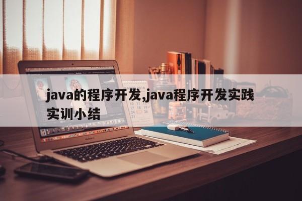 java的程序开发,java程序开发实践实训小结