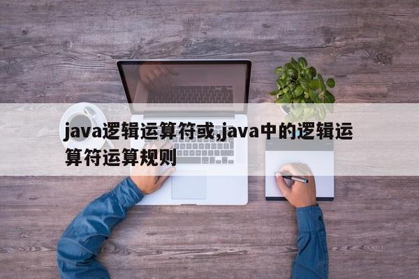 java逻辑运算符或,java中的逻辑运算符运算规则