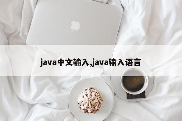 java中文输入,java输入语言