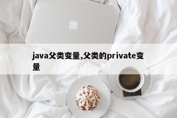 java父类变量,父类的private变量