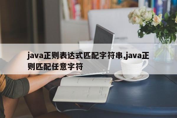 java正则表达式匹配字符串,java正则匹配任意字符