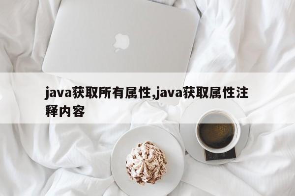 java获取所有属性,java获取属性注释内容