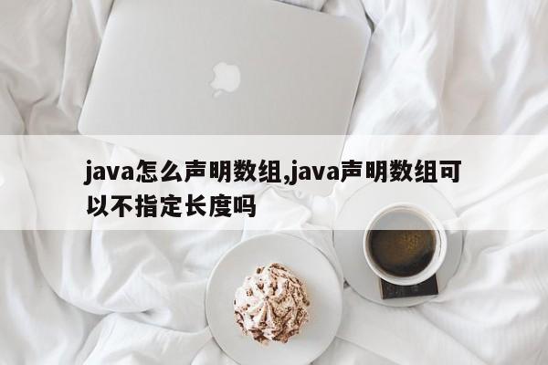 java怎么声明数组,java声明数组可以不指定长度吗