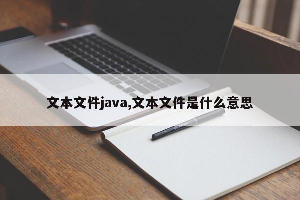 文本文件java,文本文件是什么意思