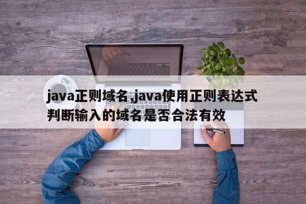 java正则域名,java使用正则表达式判断输入的域名是否合法有效