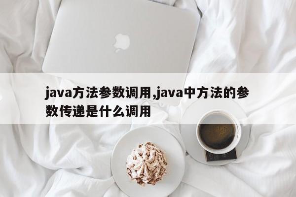 java方法参数调用,java中方法的参数传递是什么调用