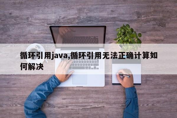 循环引用java,循环引用无法正确计算如何解决