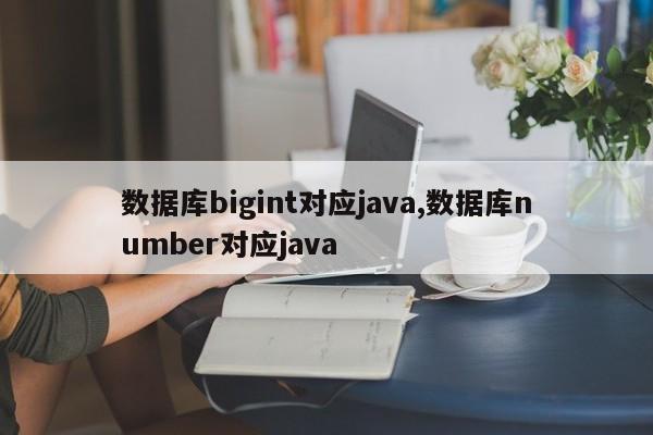 数据库bigint对应java,数据库number对应java