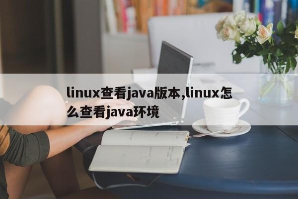 linux查看java版本,linux怎么查看java环境