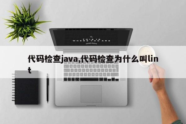 代码检查java,代码检查为什么叫lint