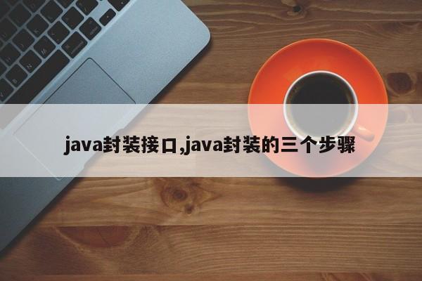 java封装接口,java封装的三个步骤