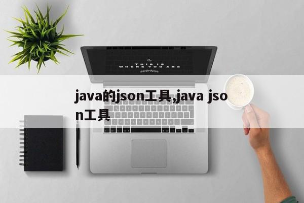 java的json工具,java json工具