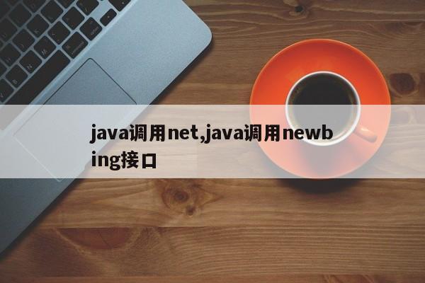 java调用net,java调用newbing接口