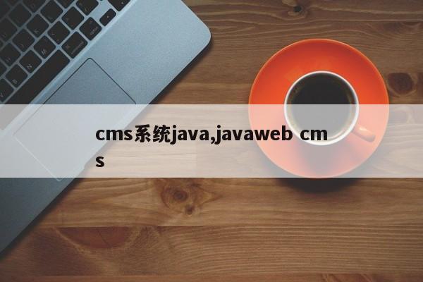 cms系统java,javaweb cms