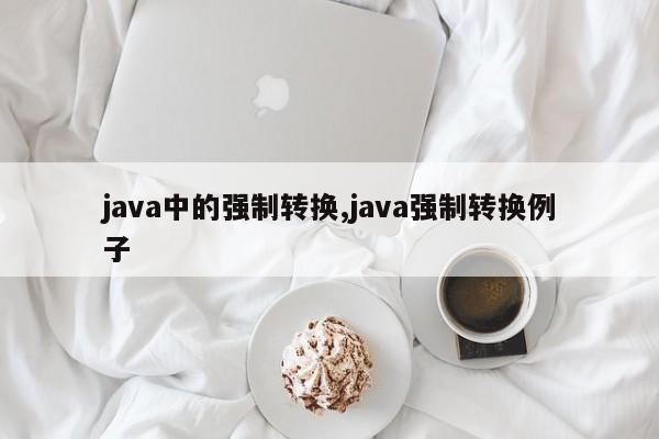 java中的强制转换,java强制转换例子