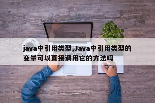 java中引用类型,Java中引用类型的变量可以直接调用它的方法吗