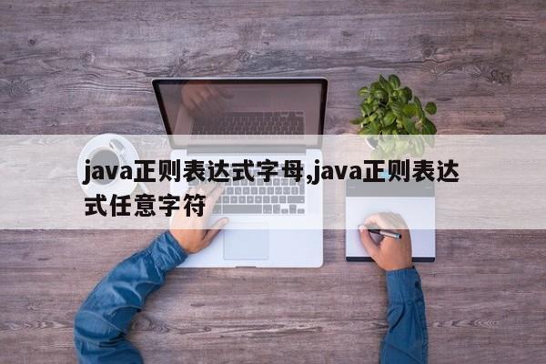 java正则表达式字母,java正则表达式任意字符