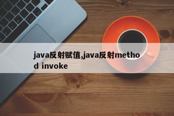 java反射赋值,java反射method invoke