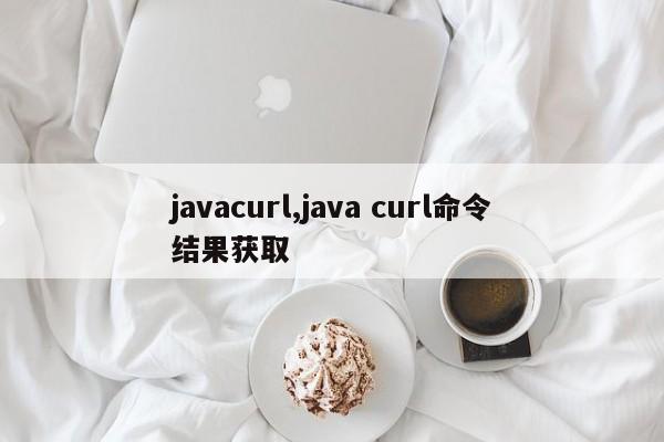 javacurl,java curl命令结果获取