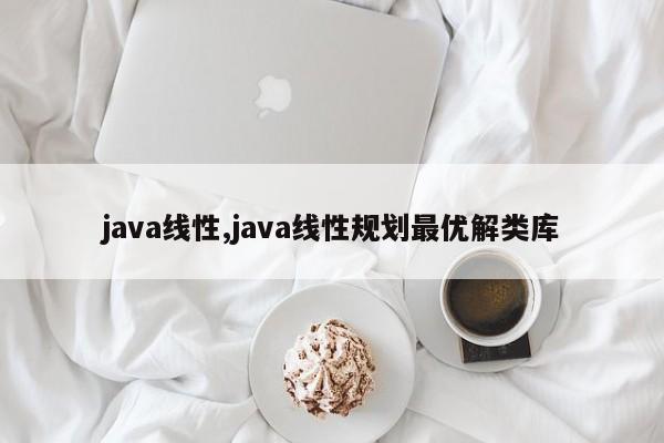 java线性,java线性规划最优解类库