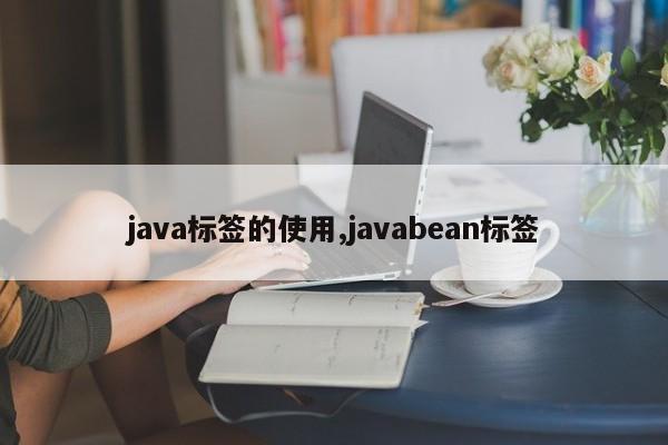 java标签的使用,javabean标签